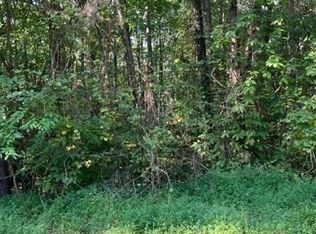 10 Mountain Lake Rd, Ellijay, GA 30540