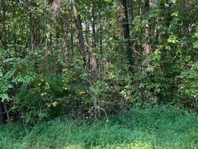 10 Mountain Lake Rd, Ellijay, GA, 30540