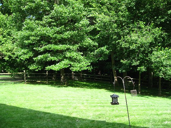 2nd image of 104 Paddlewheel Dr