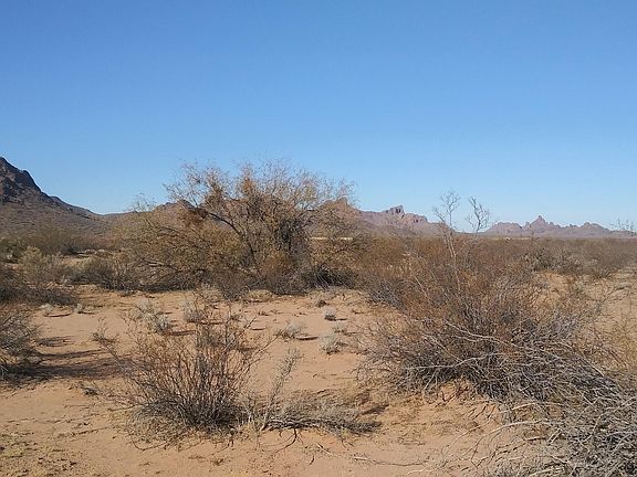 5th image of 0 W Capricorn Drive #28