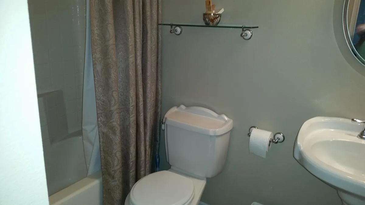 1 bed, 1000 sqft, $1,000 — Photo 4
