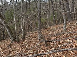 TBD The Peaks Regal Drive, Laurel Springs, NC 28644