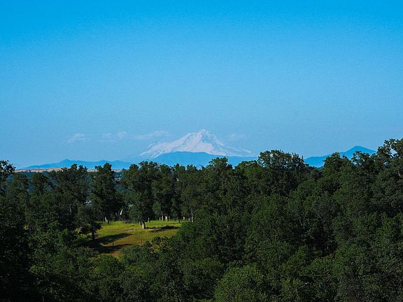 4th image of 19265 Cahoon Ridge Rd