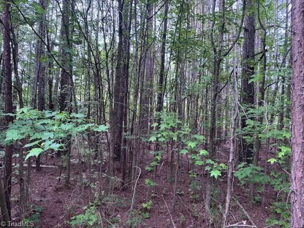 7705 Jackson School Rd #7, Browns Summit, NC 27214