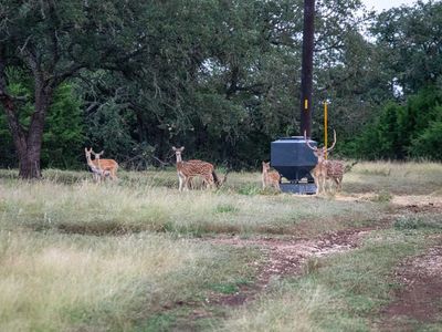 252 El Rincon Rd, Mountain Home, TX, 78058