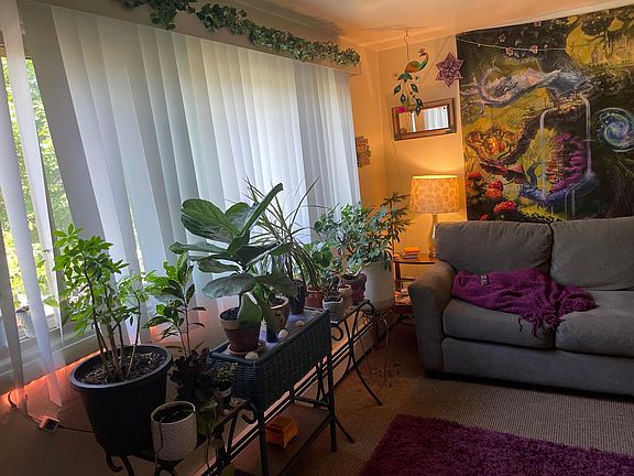 5th image of 269 Blanche St