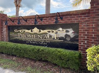 16381 Enclave Village Dr, Tampa, FL 33647
