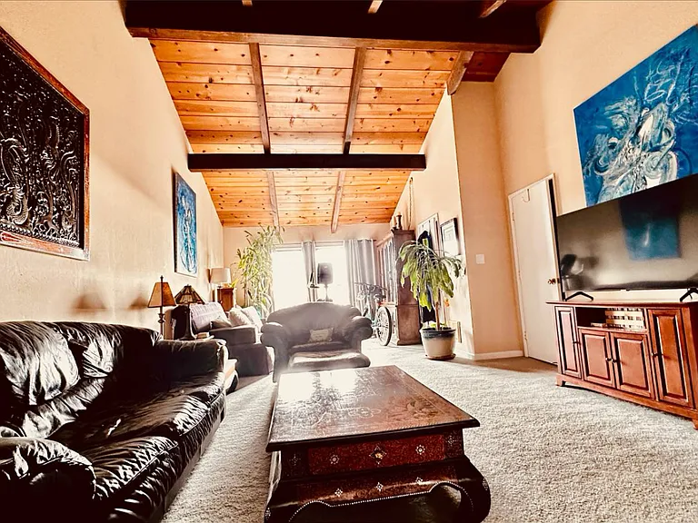 Large family room