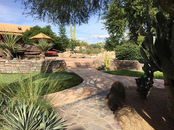 Backyard view