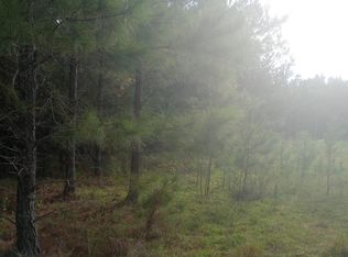 0 Salter Rd, Bartow, GA 30413