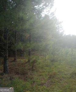 0 Salter Rd, Bartow, GA, 30413