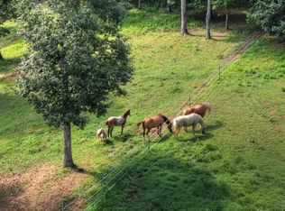 79 Stewart Ln, Morganton, GA 30560