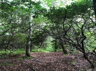Tbd Little Elbow Mountain Rd, Lake Toxaway, NC 28747
