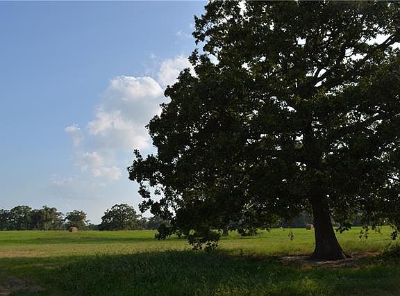 5th image of 199 County Road 3521