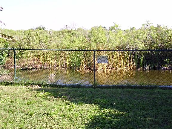 View of back yard