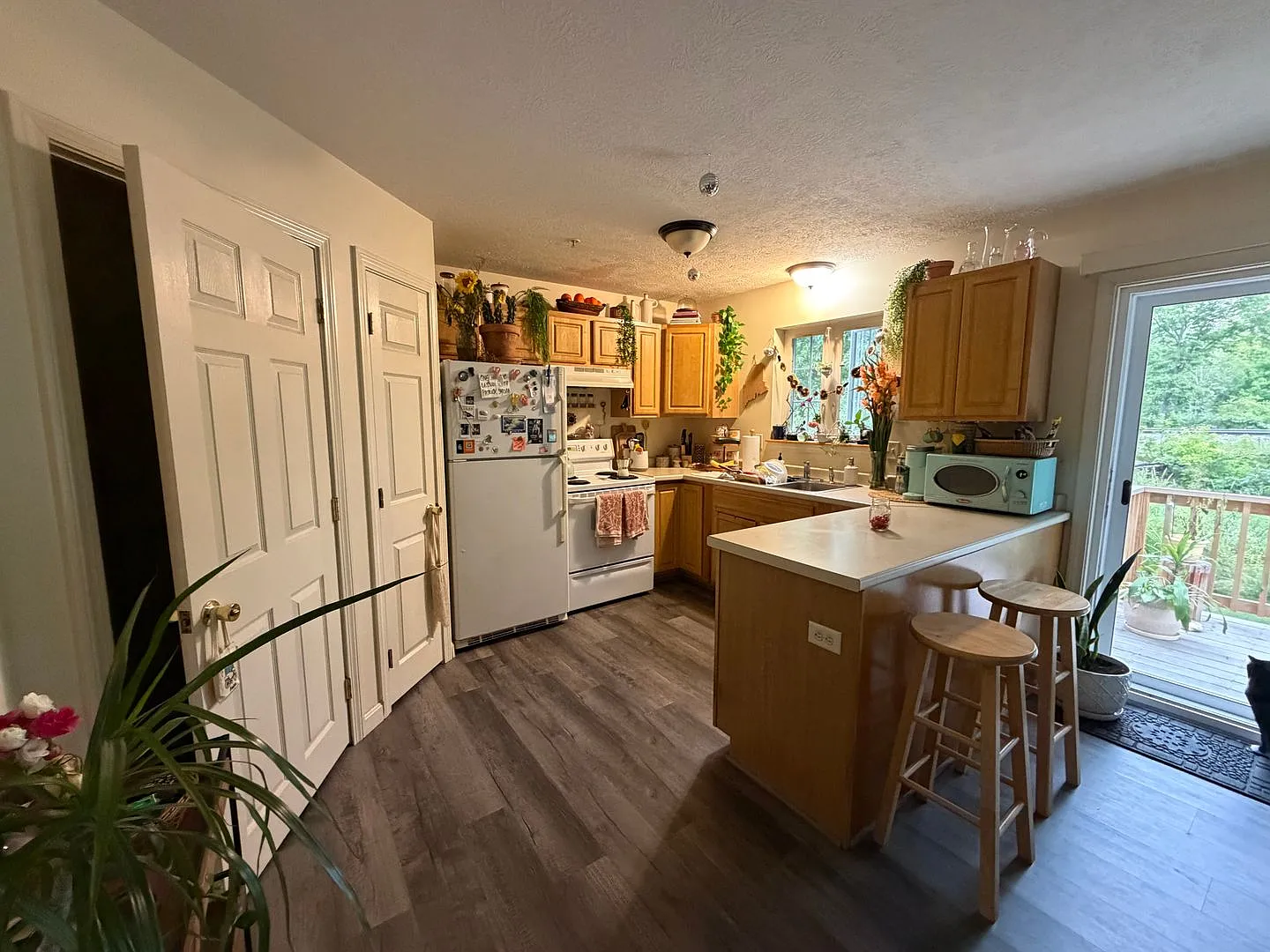 33 Maggie Lane — Photo 4