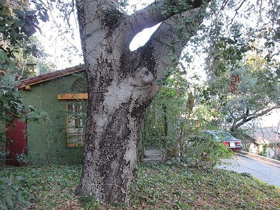 3rd image of 1811 Baxter St