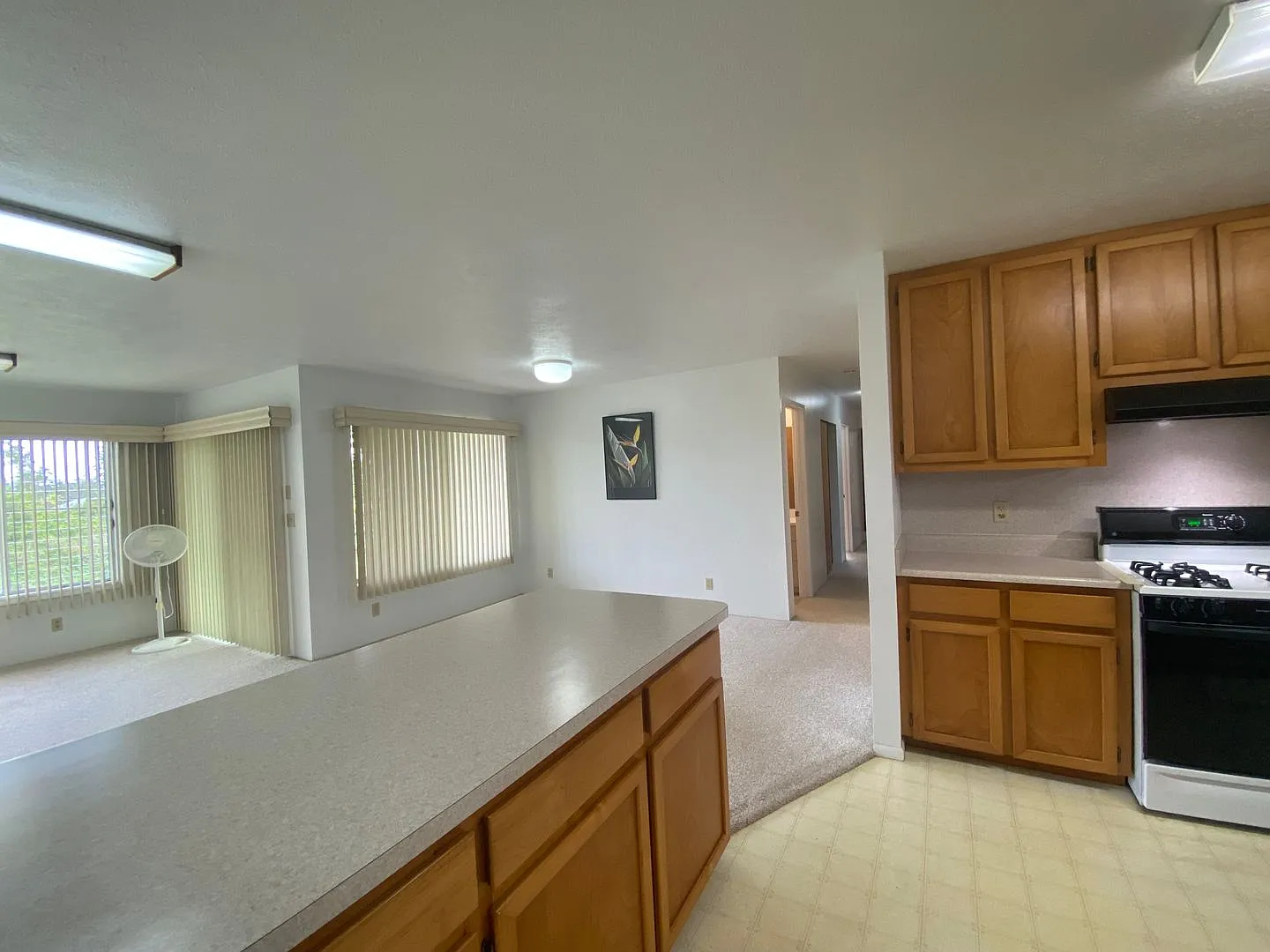 Hawaiian Paradise Park — Photo 1