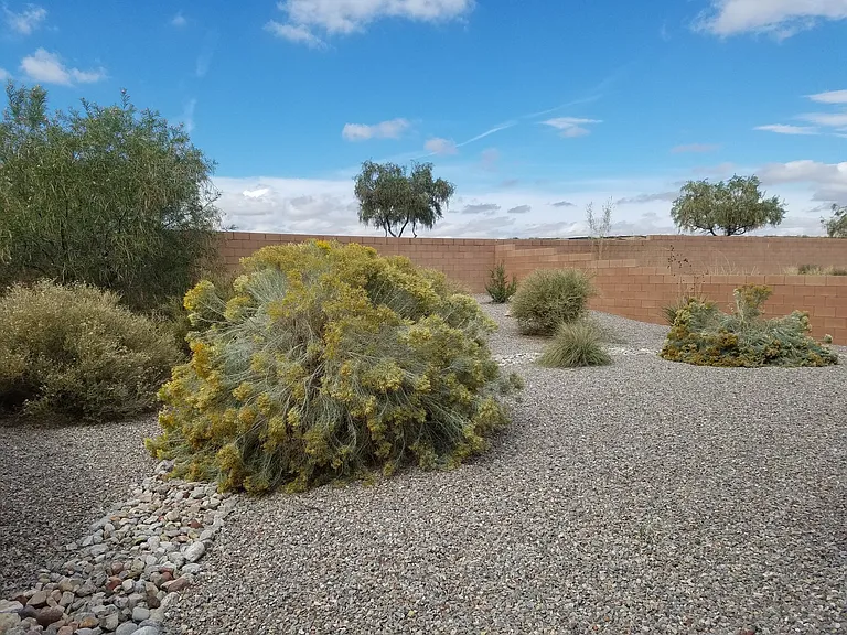 911 Desert Senna Ave SW — Photo 27