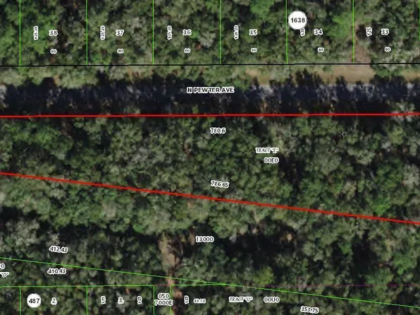 182 E Kingsdale Street, Citrus Springs, FL 34434