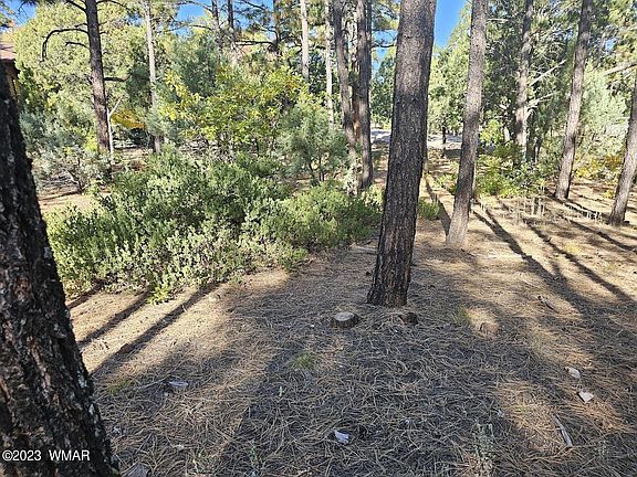 4th image of 3251 W Sage Ln