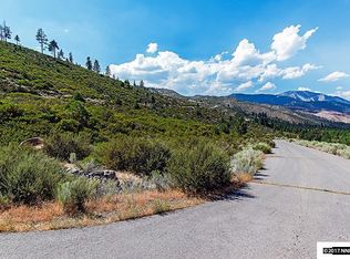 7945 Musgrove Creek Dr, Washoe Valley, NV 89704