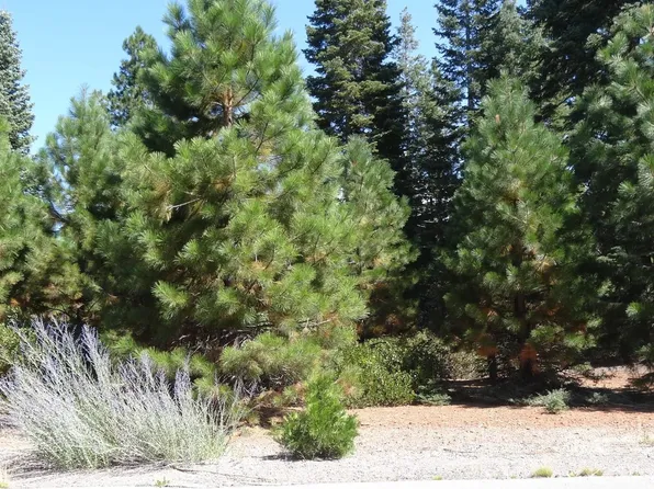 902 Marina Dr, Westwood, CA 96137