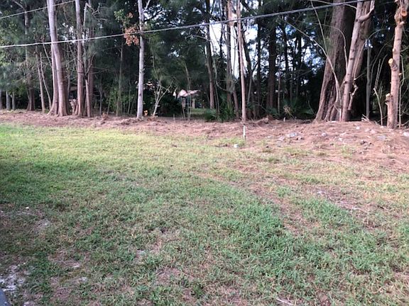 5th image of 29250 Us 19 N Lot 102