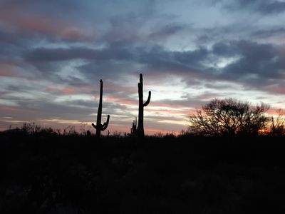 0 S Allen Peak Road #301-46-068C, Florence, AZ, 85132