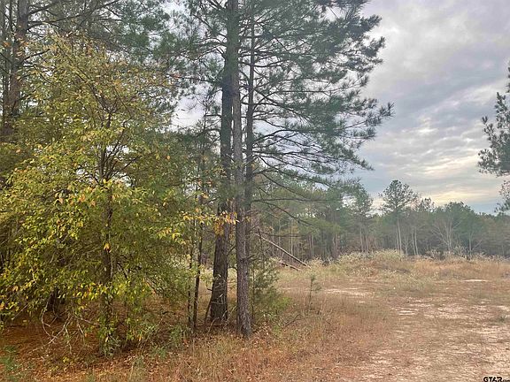 5th image of 23530 County Road 3118