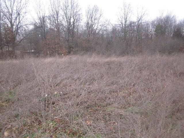 1st image of Wildflower Dr