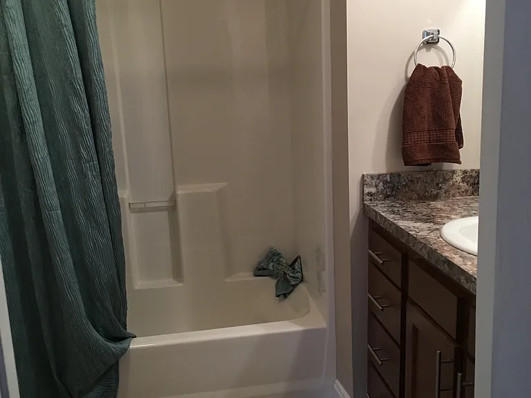 primary bath