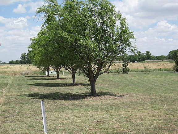 west edge of lot