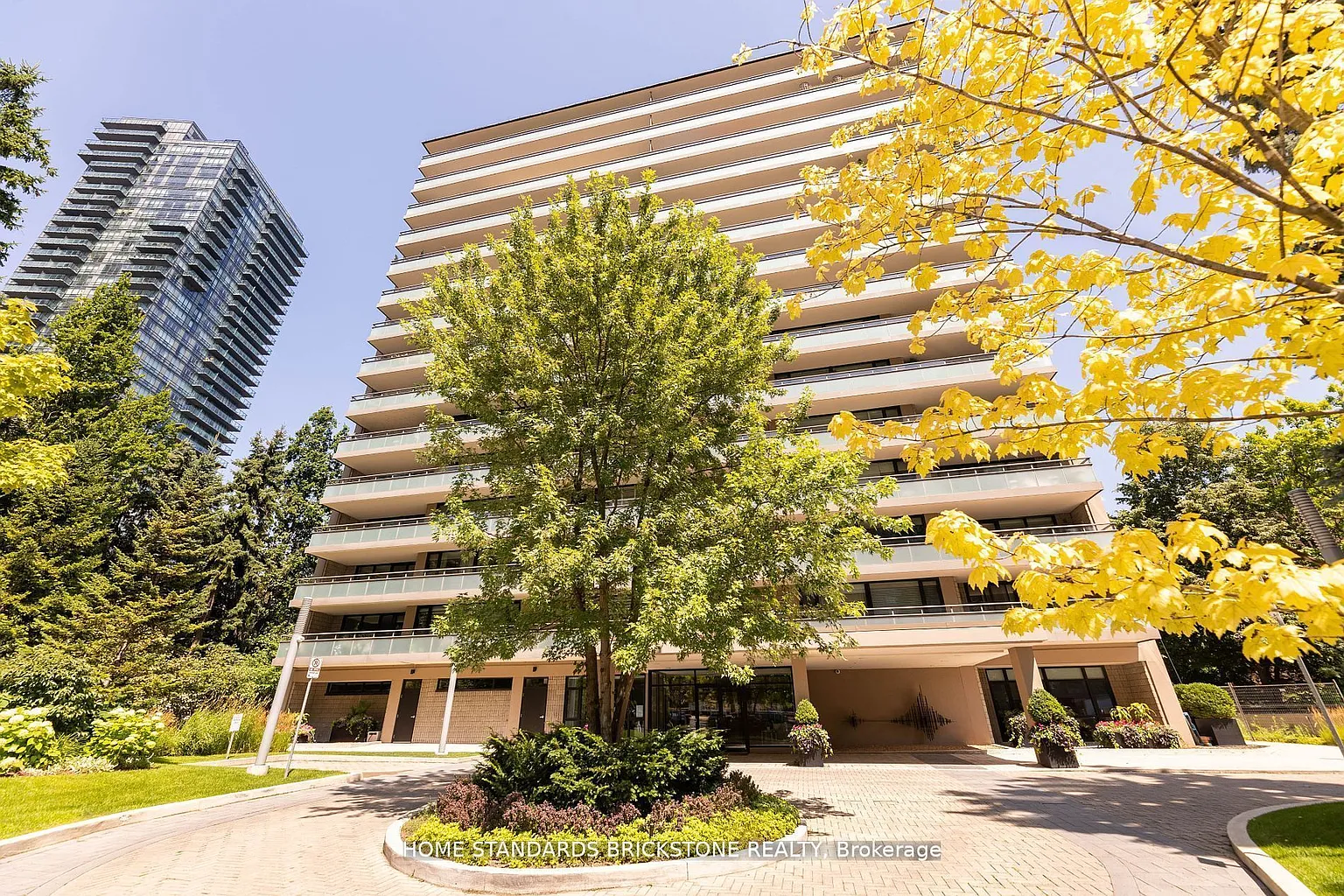 66 Collier St #9D photo 1