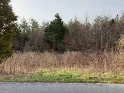 544 Curtis Rd LOT 14, Tellico Plains, TN, 37385