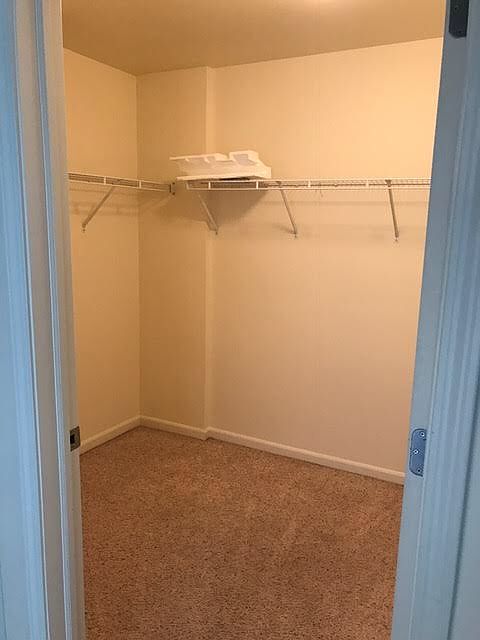 1st image of 855 E 22nd St APT 203