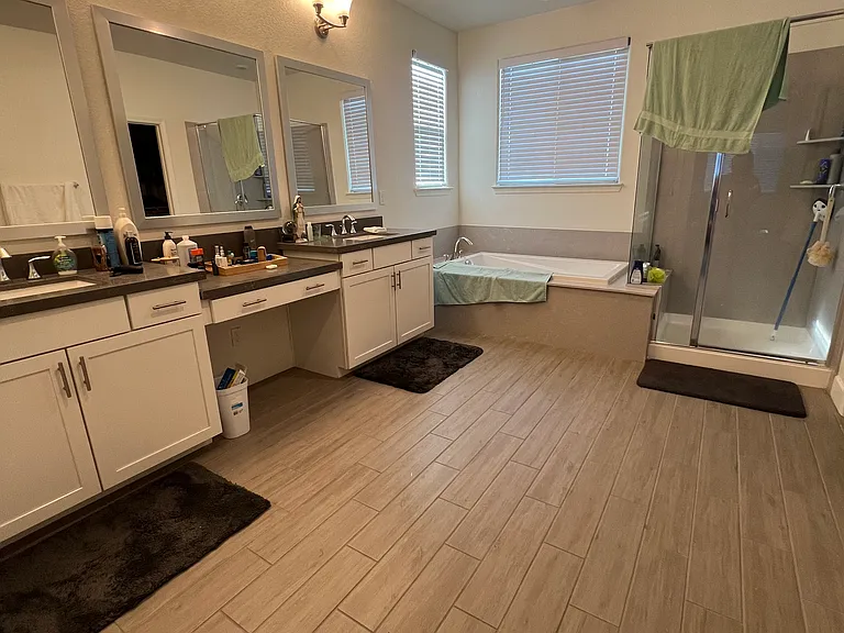 Master bathroom