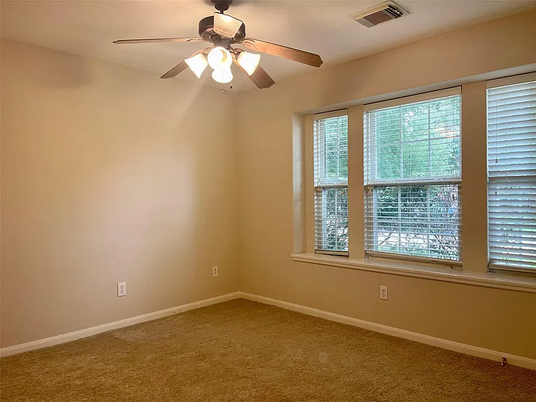 21522 Gannet Peak Way — Photo 12