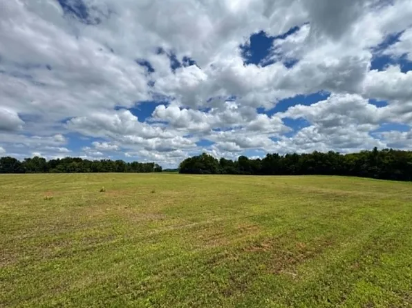 0 Ben Armstrong Rd Lot 4, Castalian Springs, TN 37031