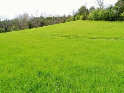 1698 New Dixville Rd, Harrodsburg, KY, 40330