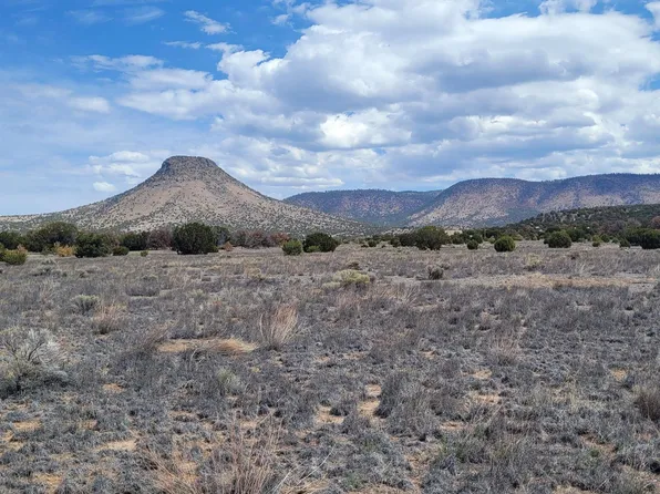 Xx Southern Trl Lot 46, Datil, NM 87821