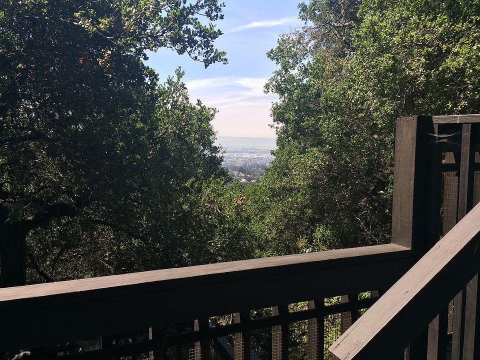 View from deck