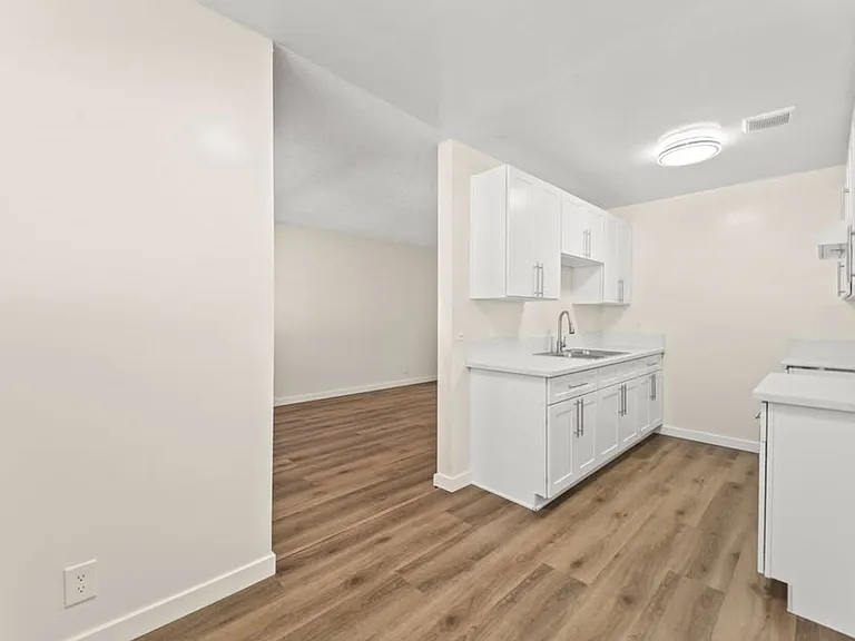 862 W. 84th street — Photo 14