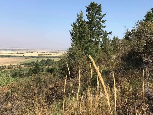 2880 Sorensen Creek Dr, Victor, ID 83455