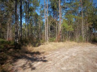 3176 Tie Island Rd, Waycross, GA 31503