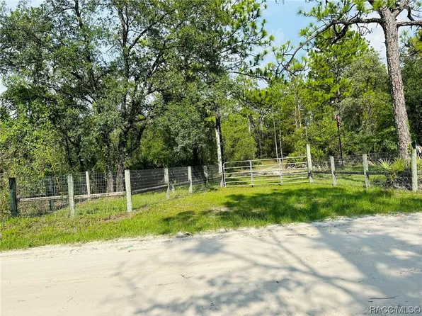 6419 N Velveteen Point, Dunnellon, FL 34433