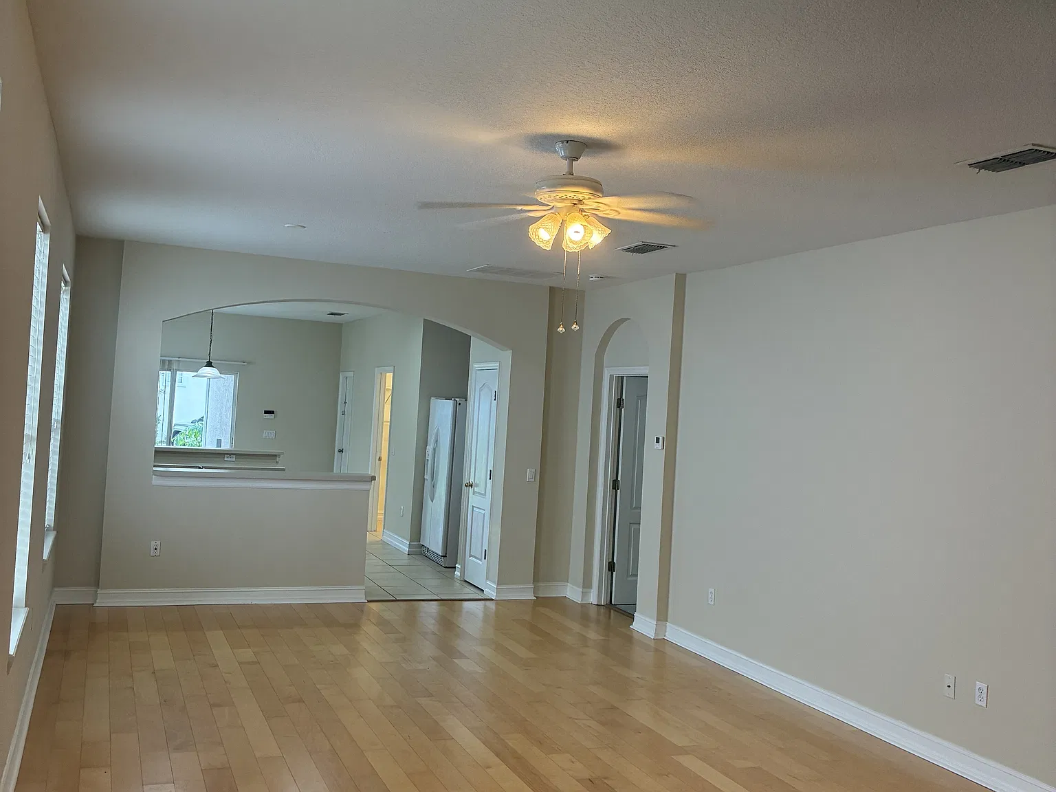 3343 Bracken Fern - 1 — Photo 3