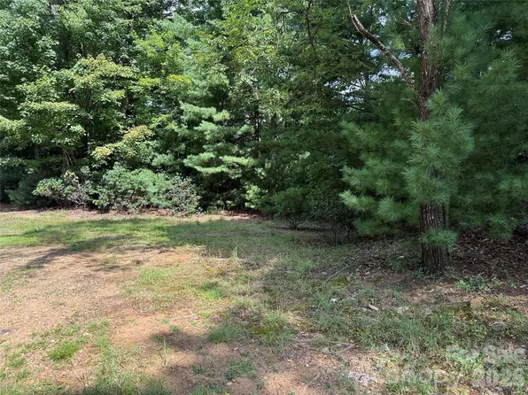 Rich Pine Dr #119, Purlear, NC 28665