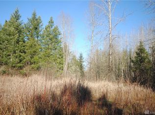 4021 330th St S, Roy, WA 98580