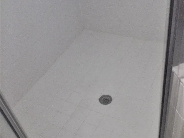Master Bath Shower.